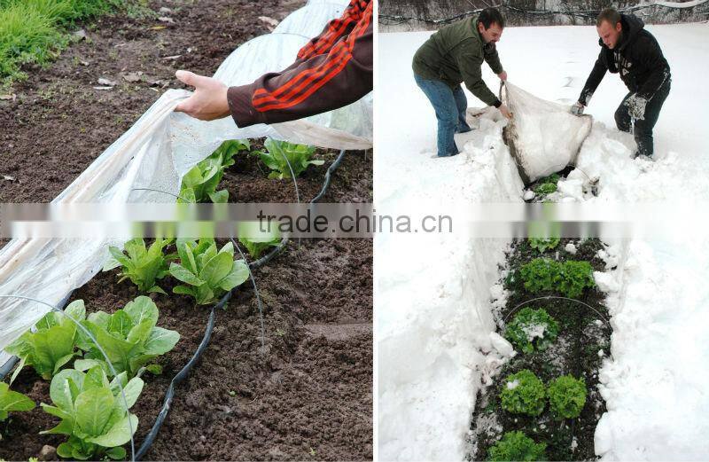 PP non woven Winter Garten Vlies