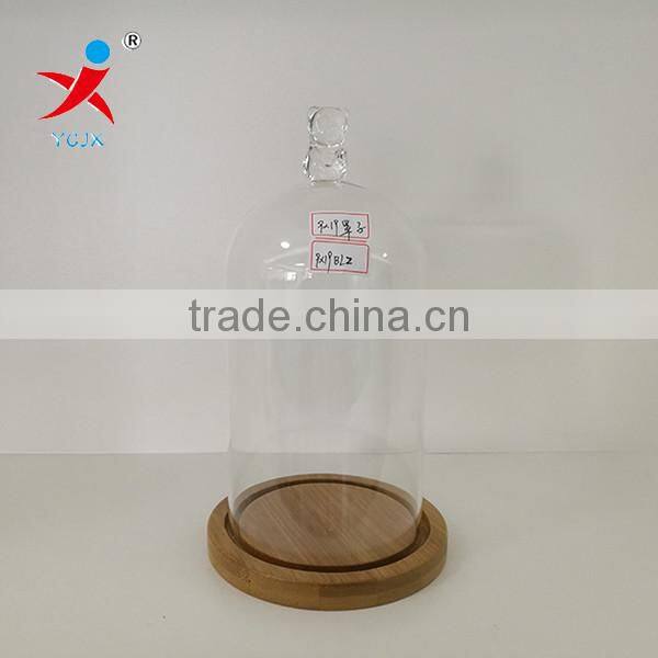 Wholesale A Bear Sticking On Dome Glass With Bamboo Bottom