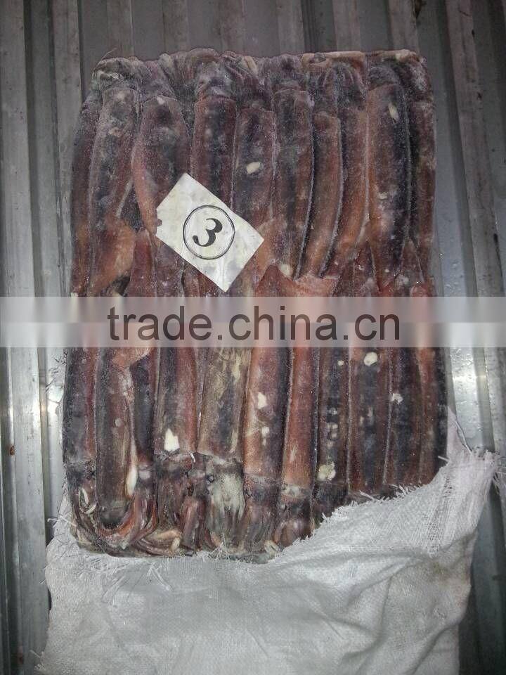 viet delta illex squid