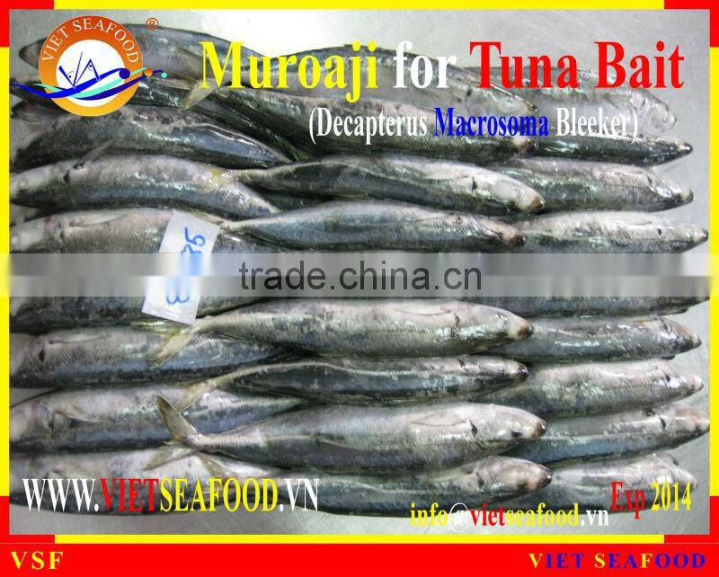 MUROAJI FOR TUNA BAIT