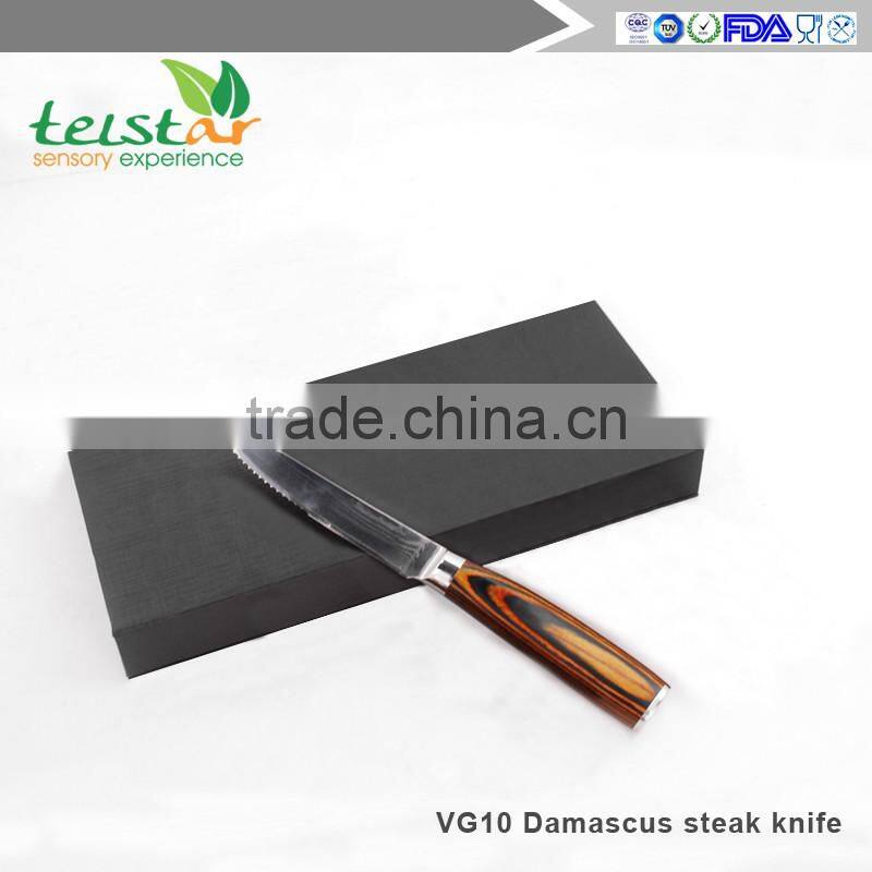 Japanese VG-10 67 Layers Damascus Premium Steak knife 4.5-inch with Gift Box