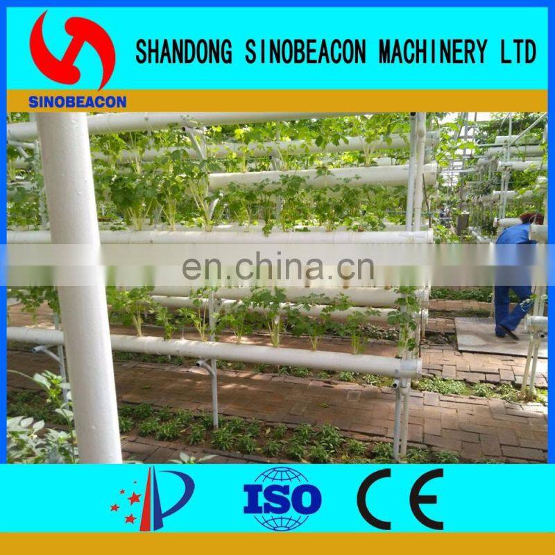 Hydroponic Lettuce Gutter Systems