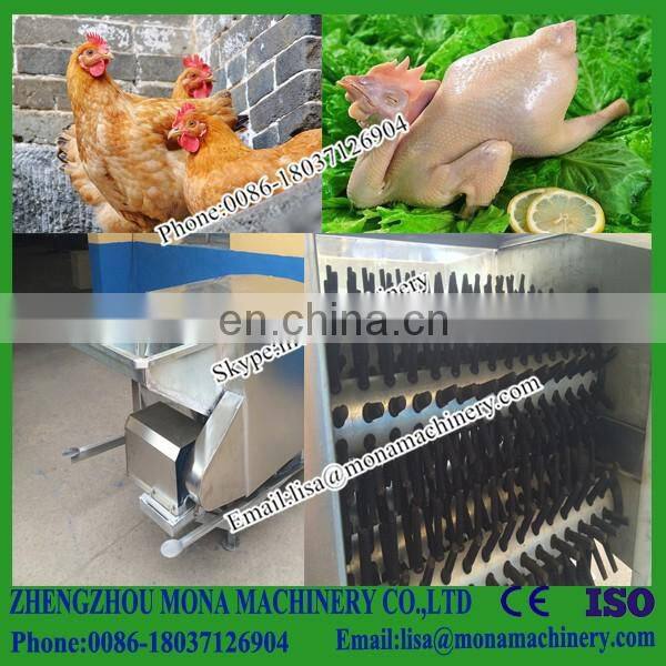 Poultry scalding & plucking combined machine