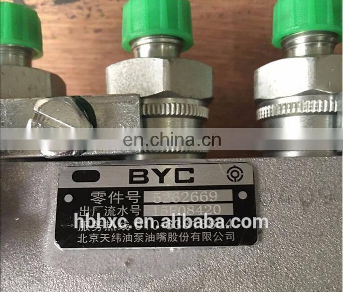 Genuine Diesel Engine 4BT3.9 BYC Fuel Injection Pump 5262669