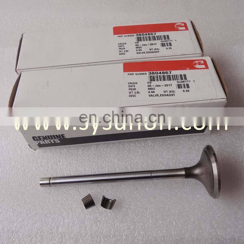 high quality QST30 Diesel Engine Intake Exhaust Valve 3804867 3094158 3093477 3093477 for excavator