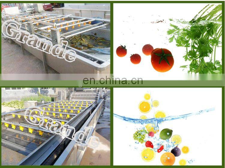 500kg/h Industrial Automatic Fruit Washer Dryer Vegetable Washing Machine Basil Bubble Washing Machine