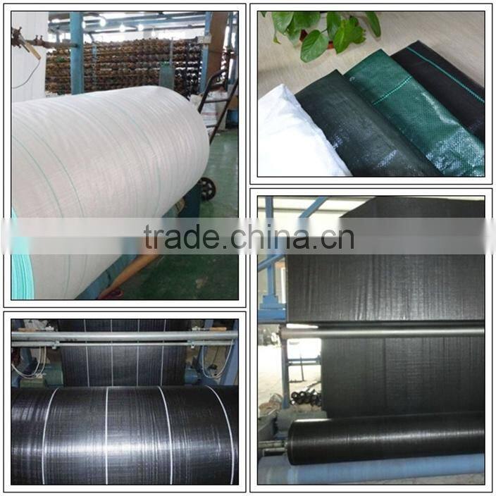PP Garden Ground Cover anti weed mat ,China Cheap agriculture Weed control mat
