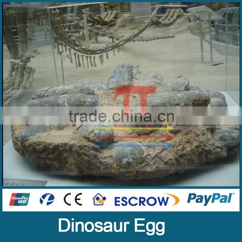 JLDE-0067 dinosaur egg fossil,Artificial Dinosaur egg Replicas