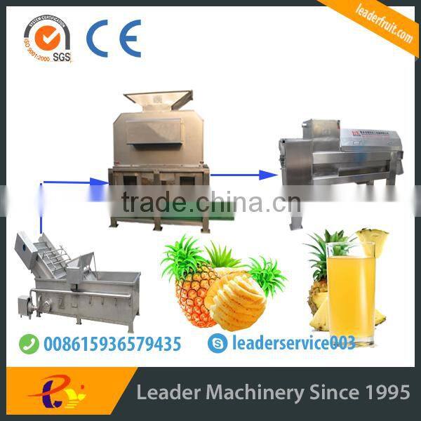 pineapplemake pulp plant