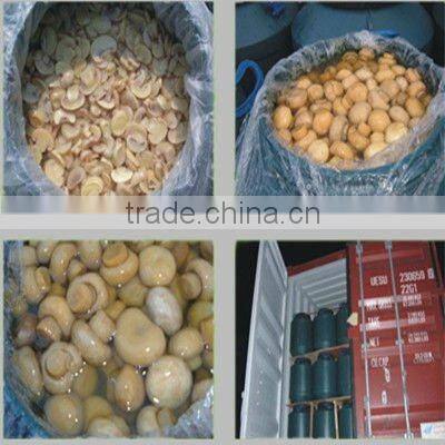 canned mushroom price