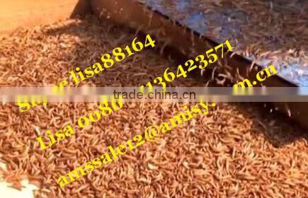 Professional maelworm multifunctional segregator