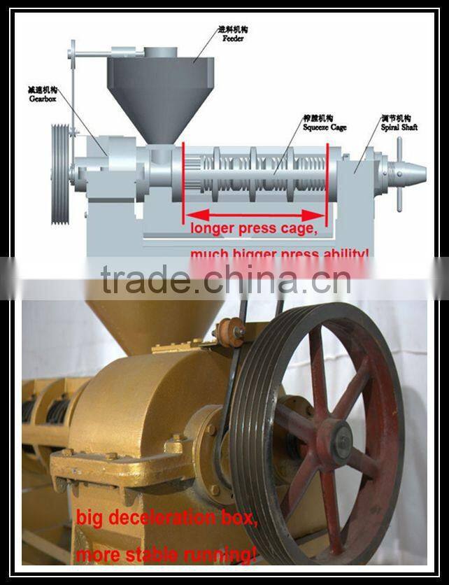 11T per day peanut oil making machine sunflower oil extraction machine