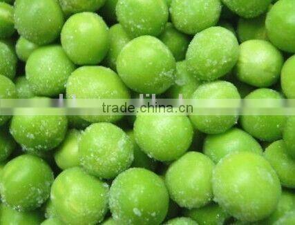 high freezing efficency spiral quick freezing freezer