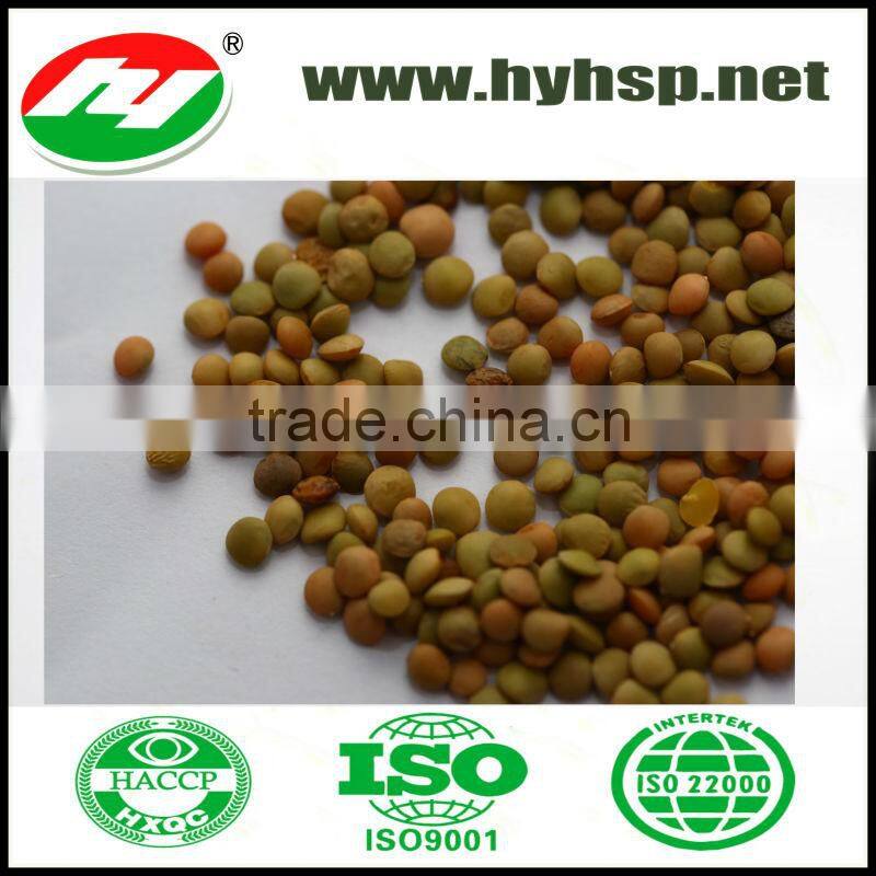 Chinese Green Lentils