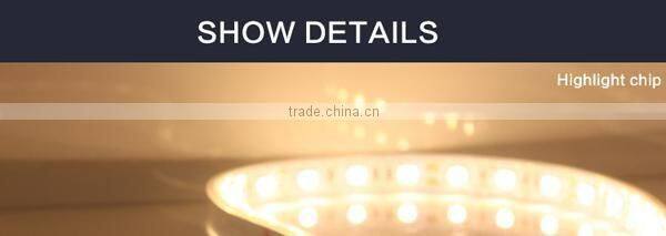 Festival Color Led Digital Strip Light SMD5050 With CE