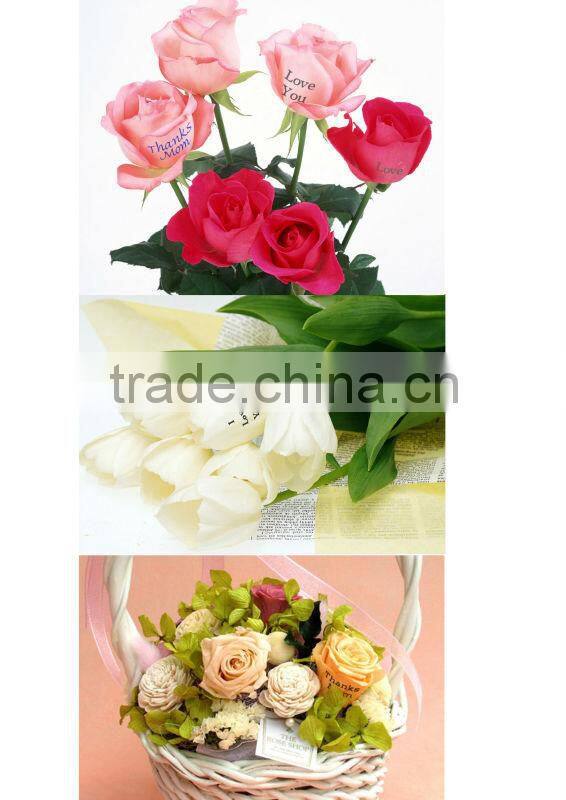 Flower Printer Machine