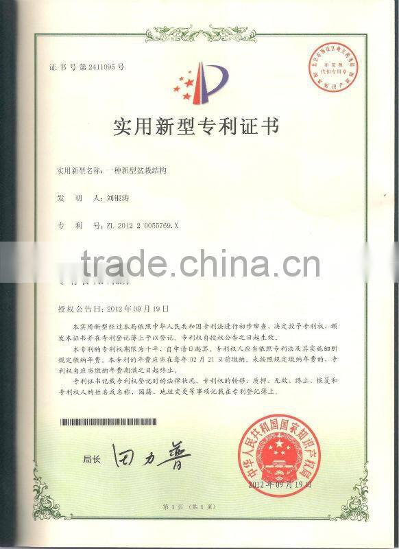 Home decorative plants,Office decorative flowers,Mini plants,Mini flowers