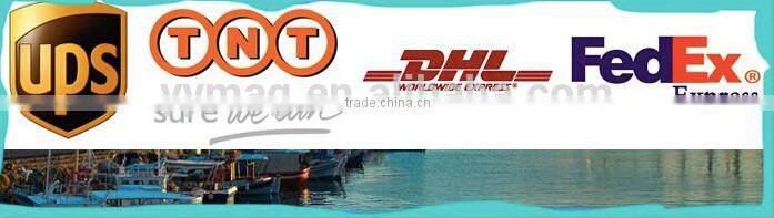 High quality samarium cobalt smco magnet Sm2Co17