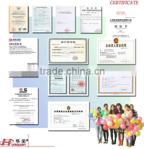 6113ZLD Engine Brushless alternator 180kva Generator