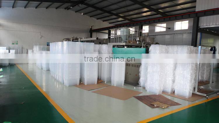 500 ml Fine Mist Plastic Spray Bottle