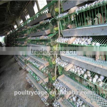 Metal Wire Mesh Layer Quail Broiler Cage For Sale( Now or Never )