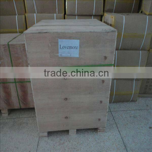 Professional carpet washing machine