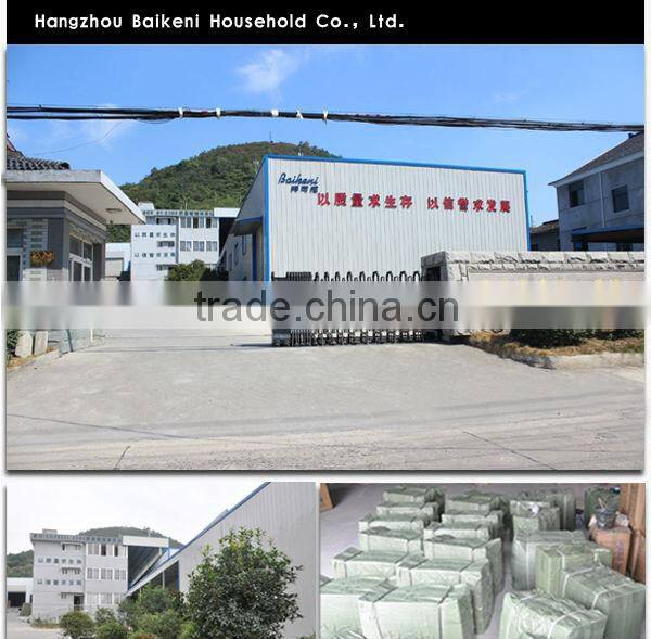 Decorative Throw Pillows Sofa Cushion