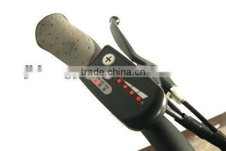 201 Top Sell 36V Lithiu Battery Electric Bike with Aluminium Alloy LED headlight