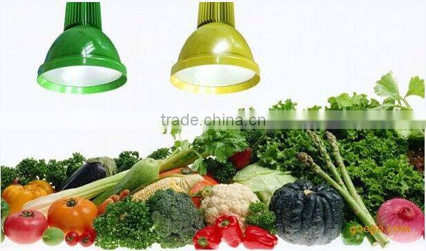 hot seller high-end products 20w led fresh light