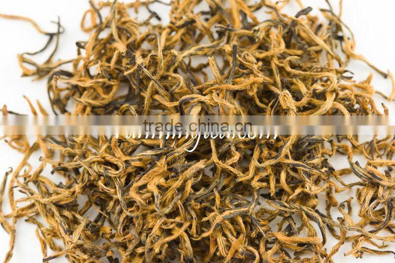 high quality golden buds Tan Yang Gongfu black tea