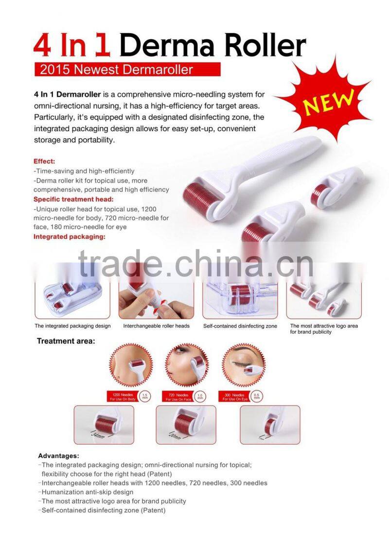 GTO Micro Needle Stainless Steel 300/720/1200 Needles 4 in 1Derma Roller with Desinfection Tank