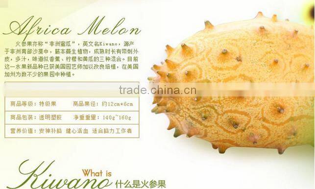 Kewana seeds Jelly Melon Seeds The horned Melon For Growing