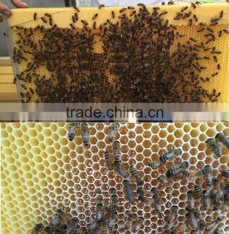 2016 new design honey plastic flowing bee frame for langstroth beehive/Chinese supplier