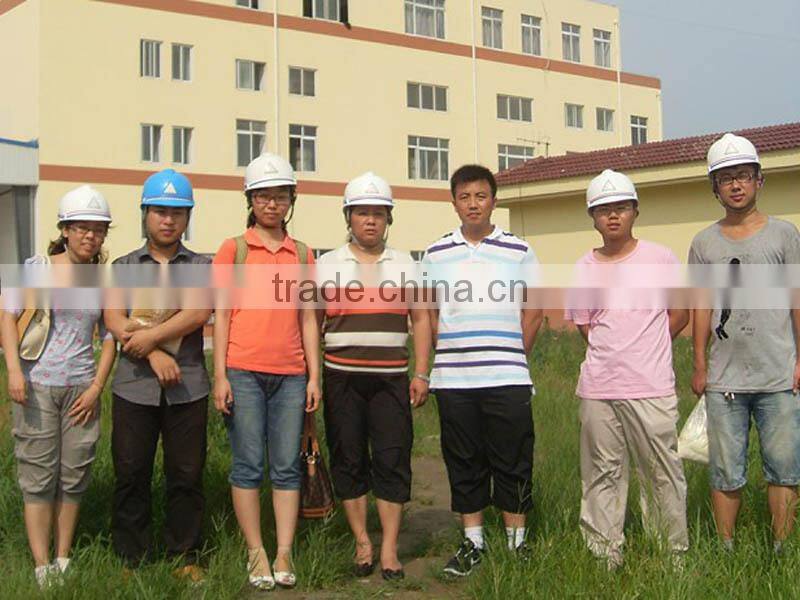 animal feed rice protein meal