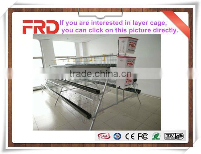 FRD-22528 Hot sale full automatic large capacity poultry egg incubator/ Brooder for Sale