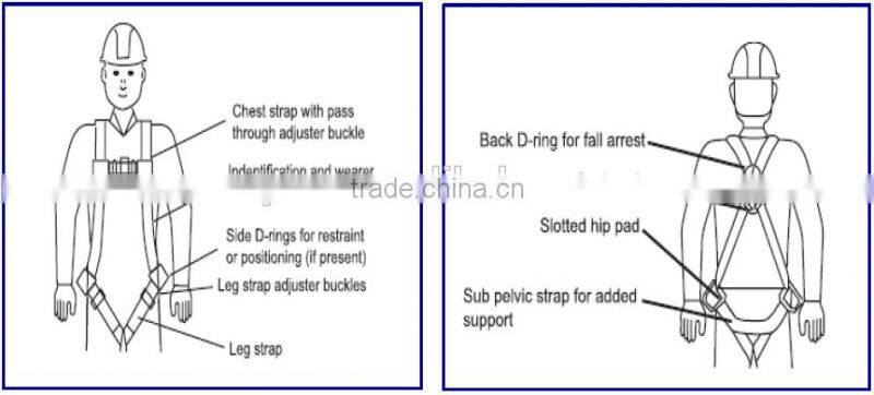 Safety Belt Safety Harness With Two Large Size Forged Hooks