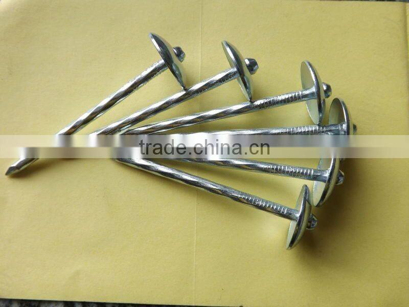 Hot sales! China factory supply high quality galvanized umbrella head roofing nails