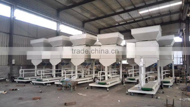 China High Accuracy Granular Type 50kg 100kg Grain Packaging Machine in Hot Sale
