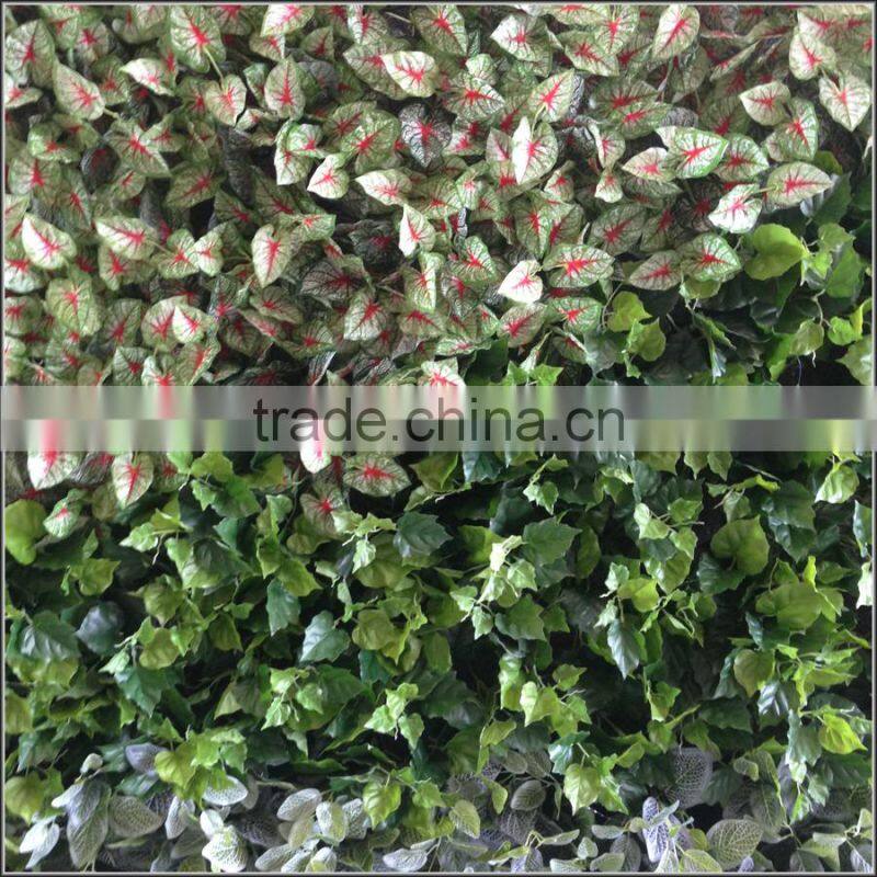 2015 new design vertical plant wall artificial