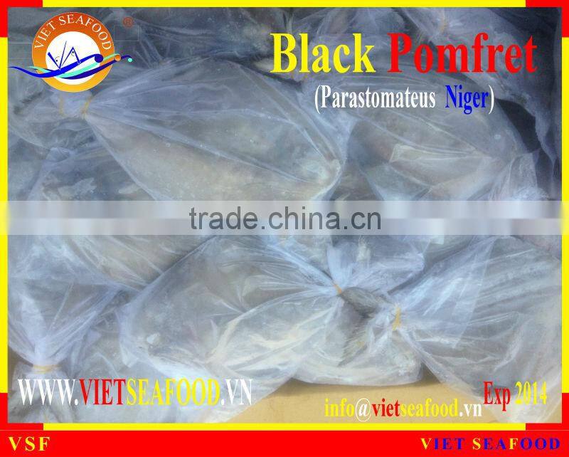 FROZEN W/R BLACK POMFRET