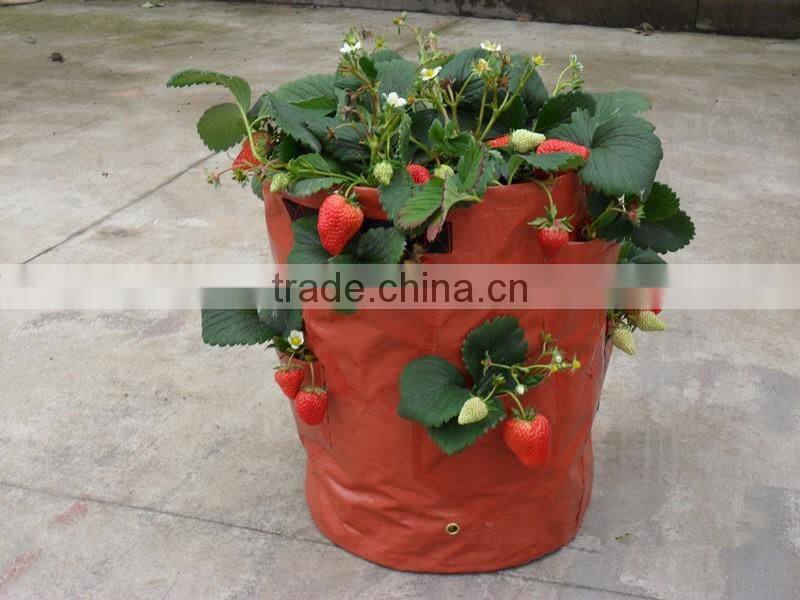 strawberry planting bag with handle