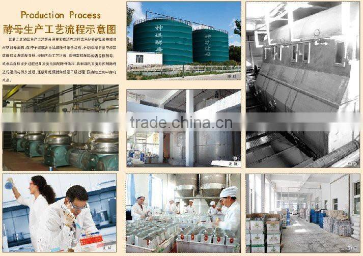 low sugar 500g/bag instant dry yeast for making breads