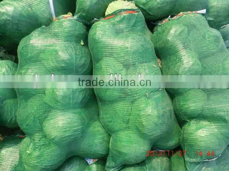 Hebei recycled plastic net bag for sale in low price