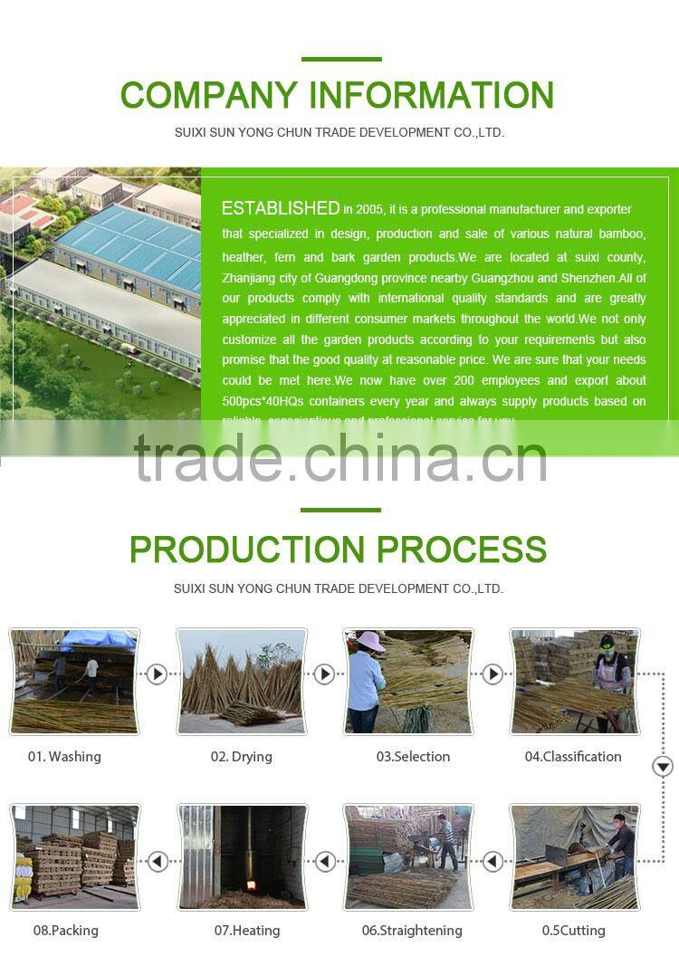 Diameter flag pole curtain christmas decoration bamboo canes for plants farm