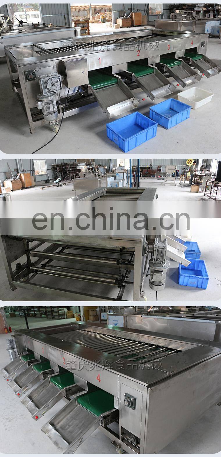 ZH-FX4 vegetable sorting machine bluebery sorter dates sorting machine