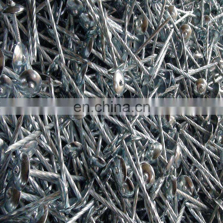 Hot dipped galvanized Roofing Nails With Umbrella Head