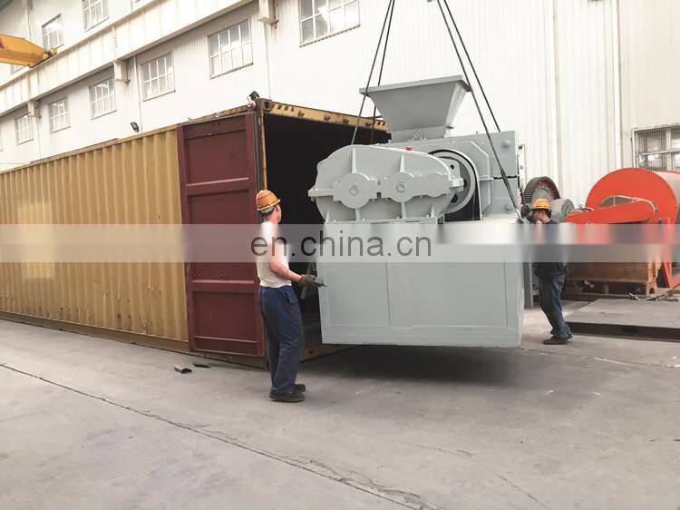 CE certificated briquette machine manufactured by Chinese famous supplier FTM company