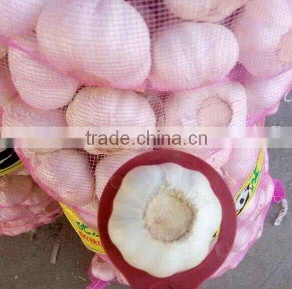 China garlic pric