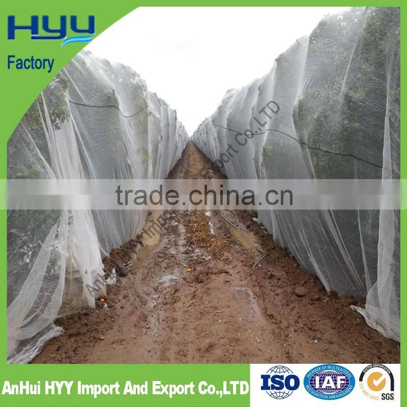 100% VIRGIN HDPE ANTI BEE NET(HYY FACTORY)