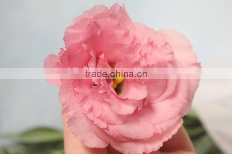 Alibaba china hotsell fresh cut flower eustoma lisianthus